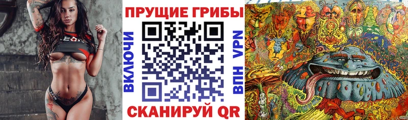 наркошоп  shop как зайти  Галлюциногенные грибы прущие грибы  Тюмень 