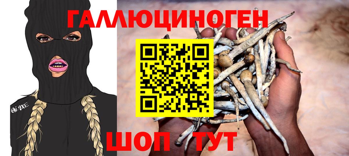 Тюмень  Галлюциногенные грибы Psilocybe  Вход с VPN 