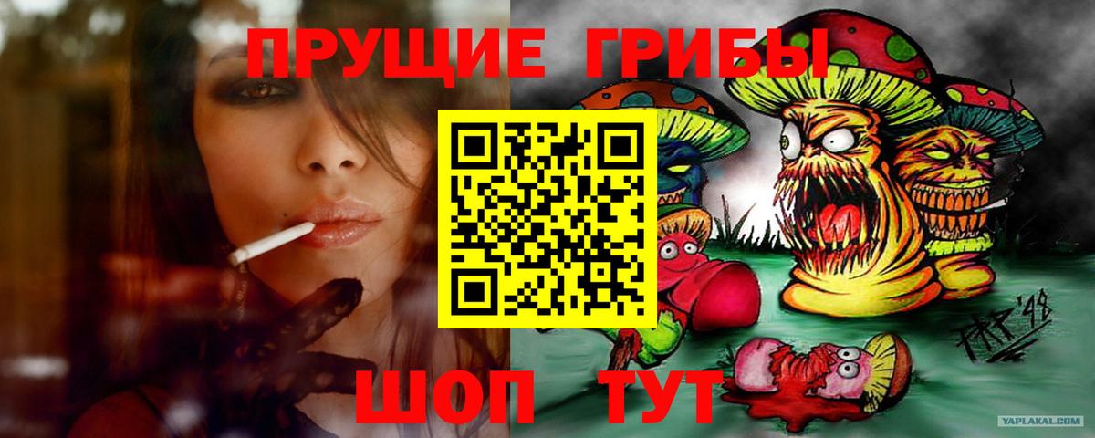 Галлюциногенные грибы Psilocybine cubensis Тюмень
